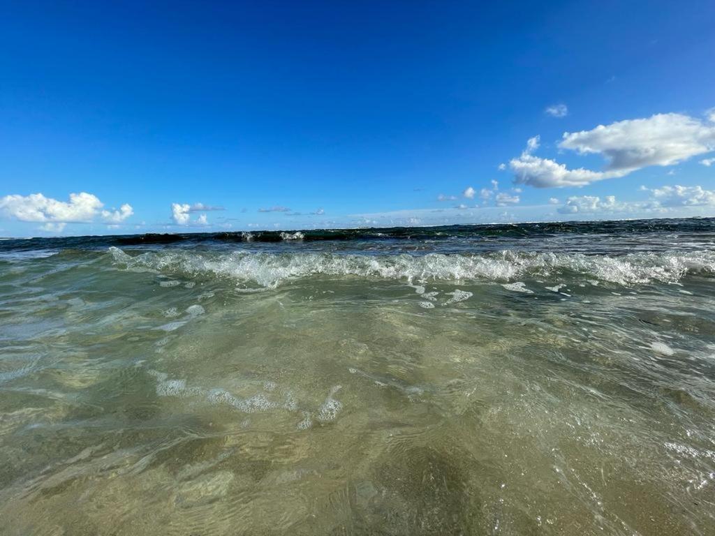 Appartement La Perle, T2 Les Pieds Dans L'Eau A 50M De La Mer แซงต์-ฟรองซัวส์ ภายนอก รูปภาพ