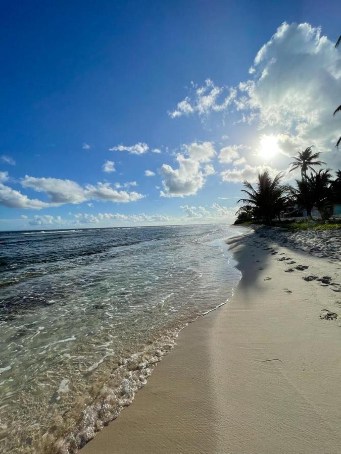 Appartement La Perle, T2 Les Pieds Dans L'Eau A 50M De La Mer แซงต์-ฟรองซัวส์ ภายนอก รูปภาพ